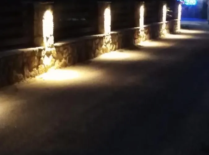 Aegialis * 沃尔沃罗