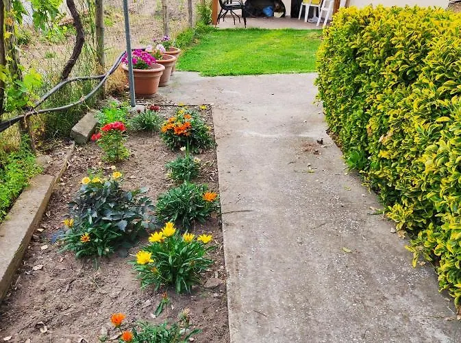 Aegialis * 沃尔沃罗