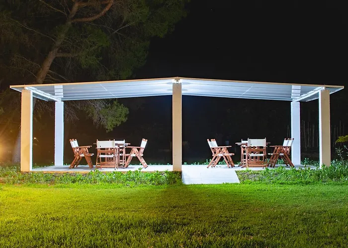 Aegialis 沃尔沃罗