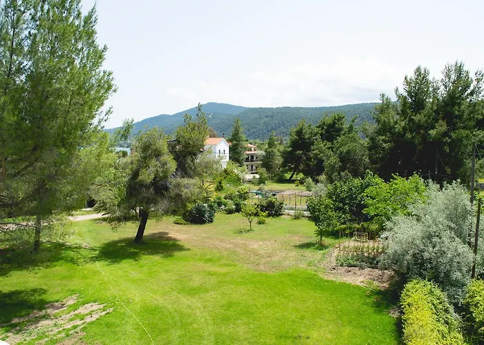 Aegialis 沃尔沃罗