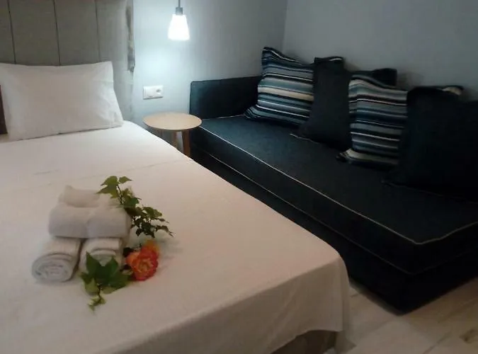 Aegialis * 沃尔沃罗