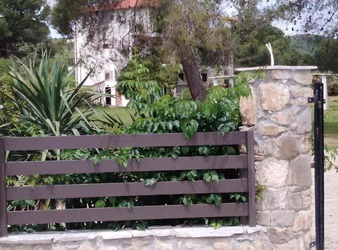 Aegialis * 沃尔沃罗