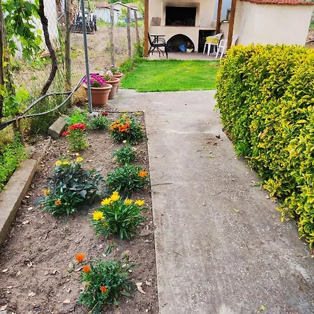 Aegialis * Βουρβουρού